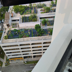 Blk 372 Jurong East Court (Jurong East), HDB 2 Rooms #632476351